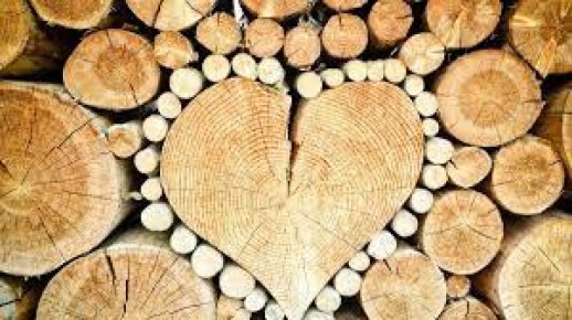 Nabídka palivového dřeva